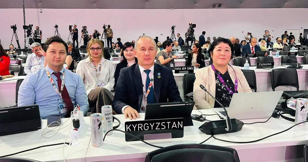 COP30: Kyrgyzstan promotes creation of Global Mountain Resilience ...