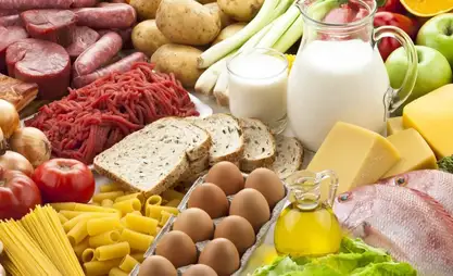 Food costs in Kyrgyzstan: Control and factors affecting prices