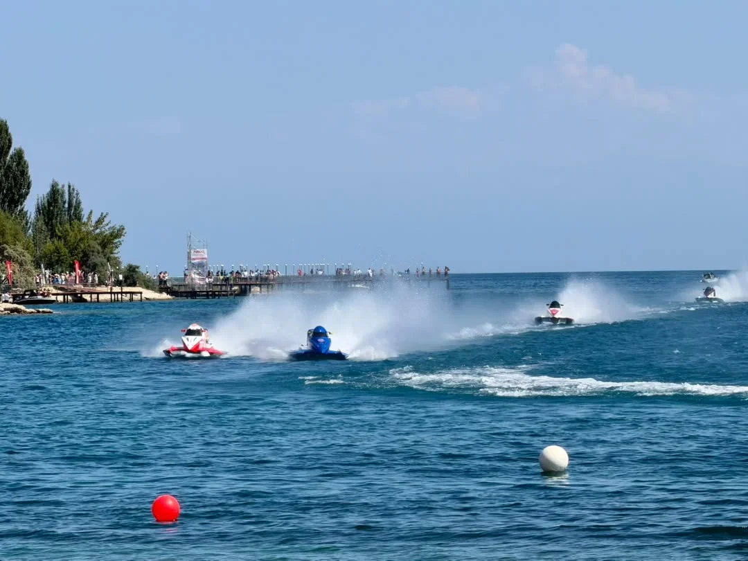 {{ item.title }}