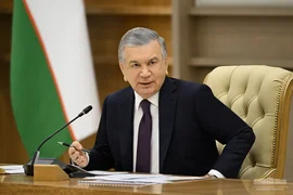 5mRvORYfXXJmG8Cc7MbRZ99fzd1GayGu.jpg