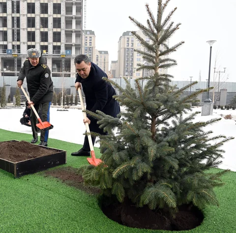 624059371_2584.max-2560x1440.format-webp.jpegquality-90.webp