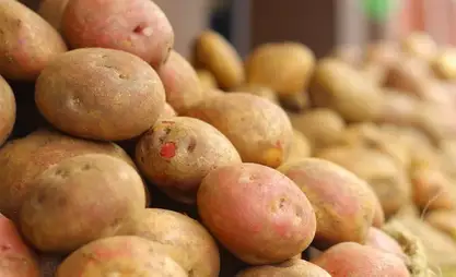 Uzbekistan imports 18 thsd tons of potatoes from Kyrgyzstan