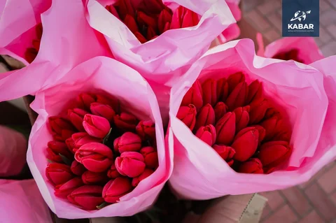 646371091_3750.max-2560x1440.format-webp.jpegquality-90.webp