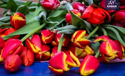 Business in flowers: Kyrgyzstan imports 4 million new flowers in Feb