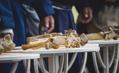 First round of bone-breaking competition leads Mongolia and Russia