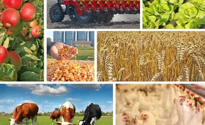 Agricultural census to start in Kyrgyzstan from Oct. 20