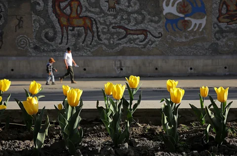 659025508_1286.max-2560x1440.format-webp.jpegquality-90.webp