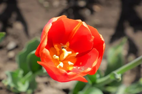 659628094_1286.max-2560x1440.format-webp.jpegquality-90.webp