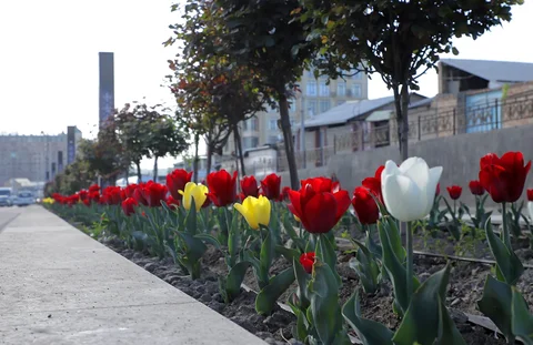 659809573_1286.max-2560x1440.format-webp.jpegquality-90.webp
