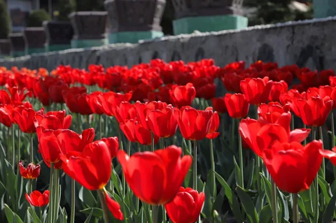 661228358_1286.max-2560x1440.format-webp.jpegquality-90.webp