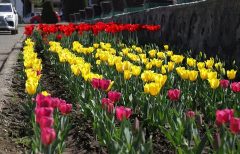 661474879_1286.max-2560x1440.format-webp.jpegquality-90.webp