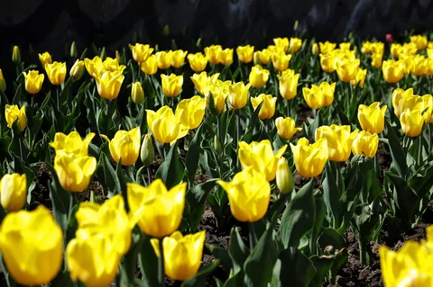 662933972_1286.max-2560x1440.format-webp.jpegquality-90.webp
