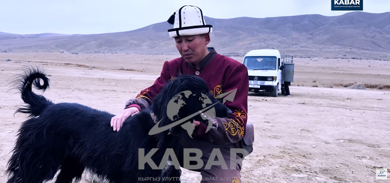 6666_ZHEUb2s.width-800