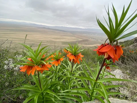 668160605_1488.max-2560x1440.format-webp.jpegquality-90.webp