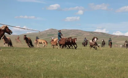55 countries to celebrate World Horse Day