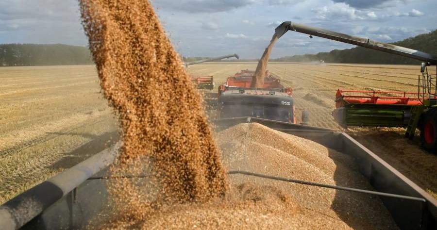 Mongolia harvests nearly 90% of grain and vegetables