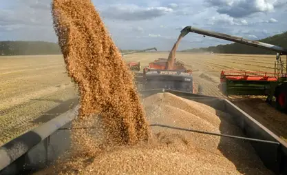 Mongolia harvests nearly 90% of grain and vegetables
