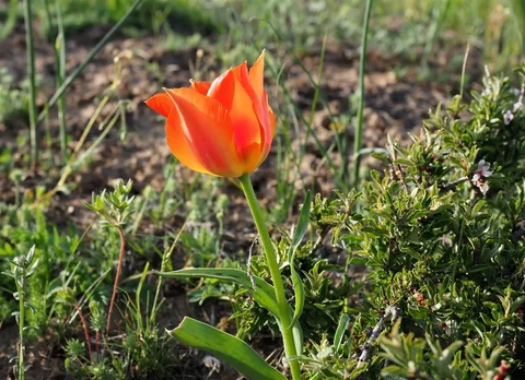 702603362_1023.max-2560x1440.format-webp.jpegquality-90.webp