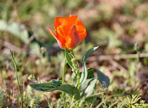 702637444_1023.max-2560x1440.format-webp.jpegquality-90.webp
