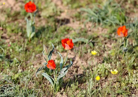 703104870_1023.max-2560x1440.format-webp.jpegquality-90.webp