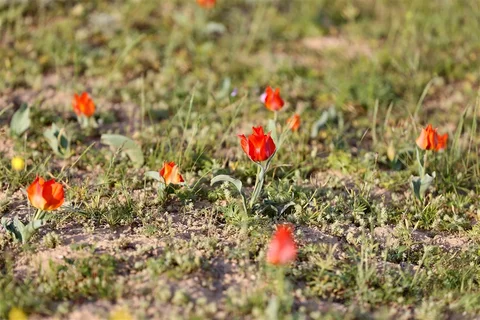 703157487_1023.max-2560x1440.format-webp.jpegquality-90.webp
