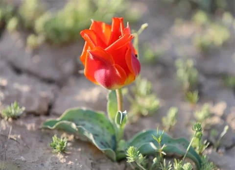 703386350_1023.max-2560x1440.format-webp.jpegquality-90.webp