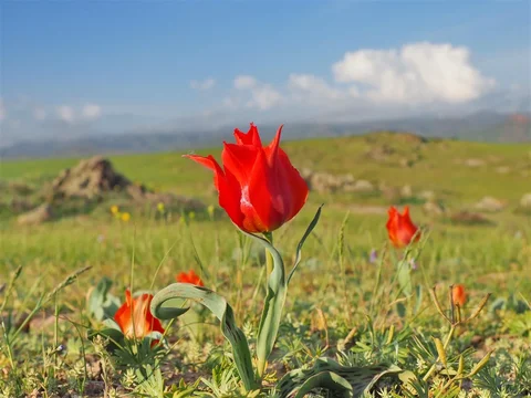 703449137_1023.max-2560x1440.format-webp.jpegquality-90.webp