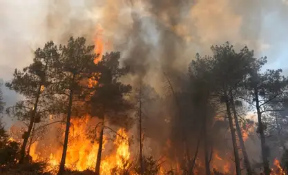 Wildfires in France and Spain: 300,000 evacuated