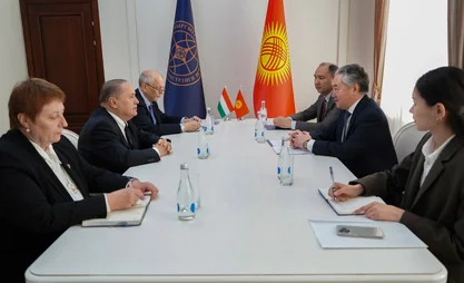 Kyrgyz FM meets with Hungarian ambassador