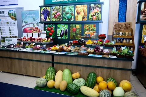 773272127_1222.max-2560x1440.format-webp.jpegquality-90.webp