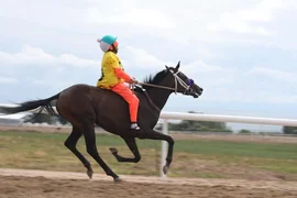 81c5afe0-eef7-.max-2560x1440.format-webp.jpegquality-90.webp