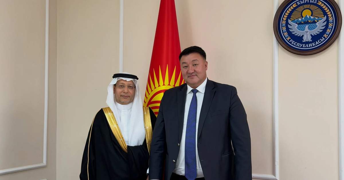 Minister of energy of Kyrgyzstan discusses cooperation with ambassador of Saudi Arabia