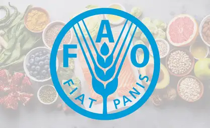 Global food prices fall in January: FAO