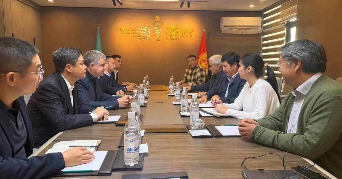 Kyrgyz scientists may participate in research programs of Singapore and China