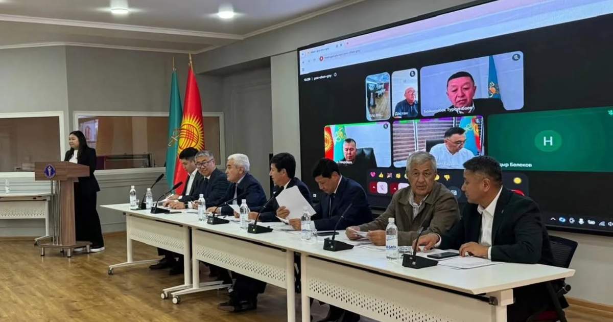 Kyrgyzstan, China to develop industrial cooperation