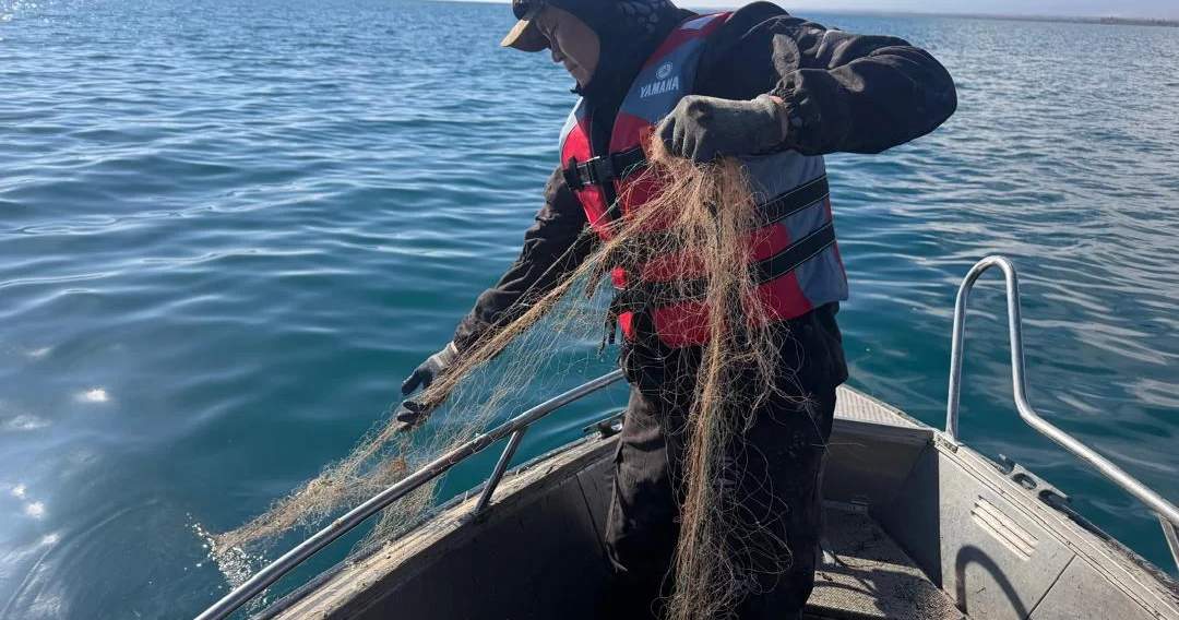 53 km of fishing nets removed from Issyk-Kul lake