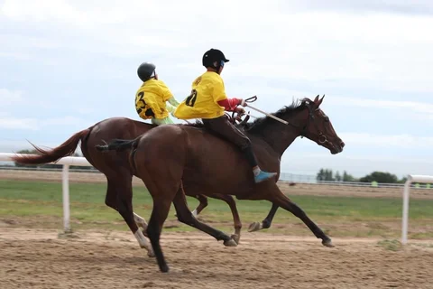 92e561b5-5788-.max-2560x1440.format-webp.jpegquality-90.webp