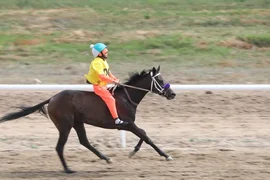 96940080-4539-.max-2560x1440.format-webp.jpegquality-90.webp