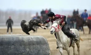 9c199764-24bc-4844-.2e16d0ba.fo.max-320x180.format-webp.webp