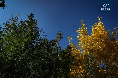 AB5I4527.jpg.m.max-2560x1440.format-webp.jpegquality-90.webp