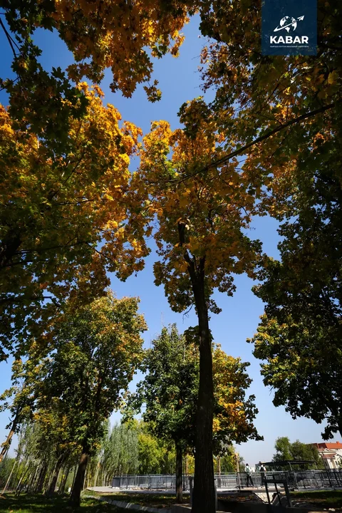 AB5I4532.jpg.m.max-2560x1440.format-webp.jpegquality-90.webp