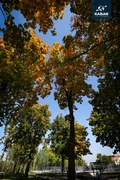 AB5I4532.jpg.m.max-2560x1440.format-webp.jpegquality-90.webp