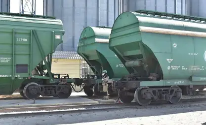 Kazakhstan boosts grain and flour exports to nearly 9 million tons