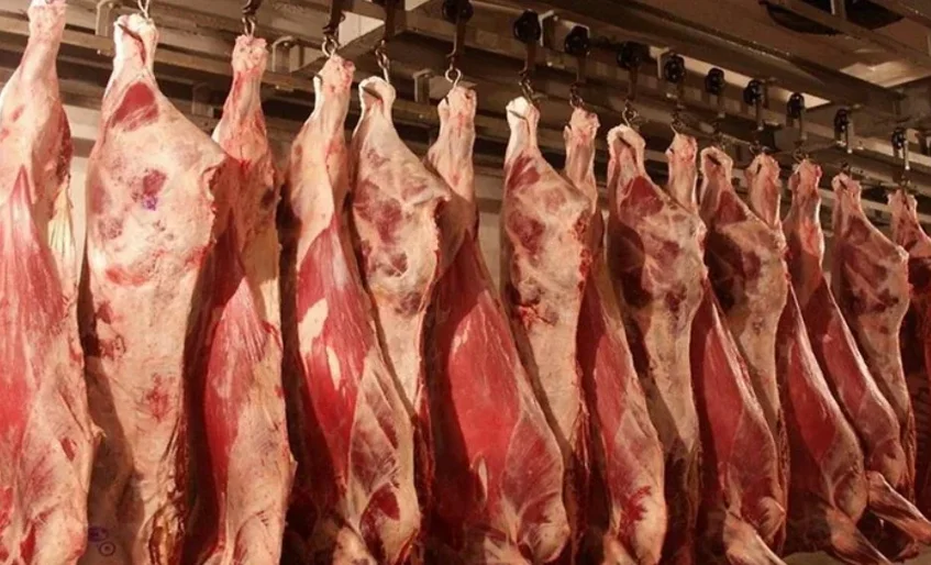 Без заголовка.png