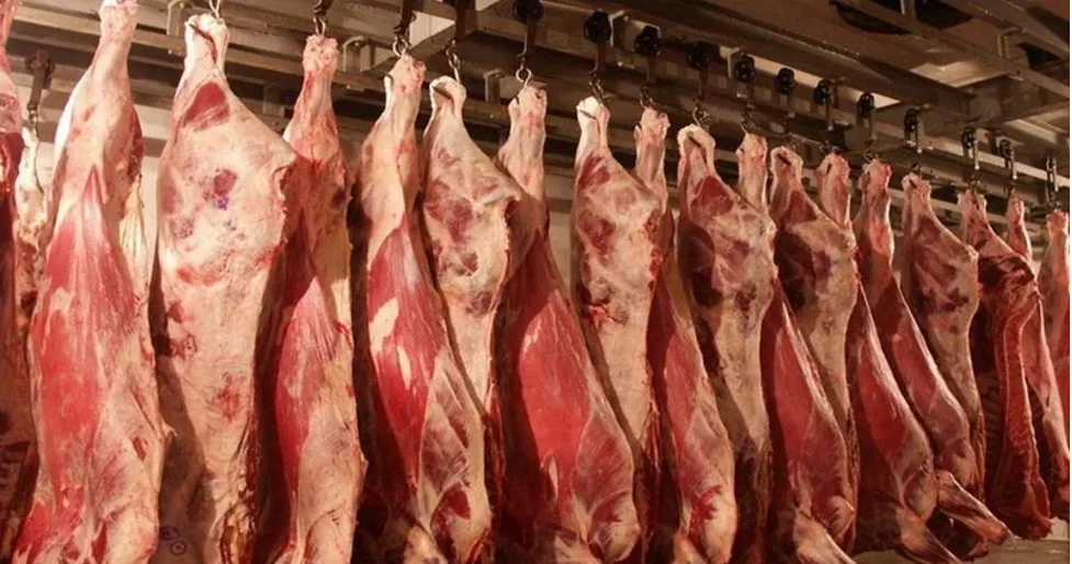 Без заголовка.png