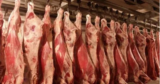 Без заголовка.png