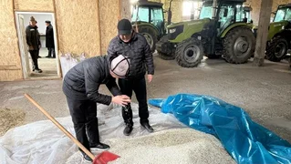 Без заголовка.jpg