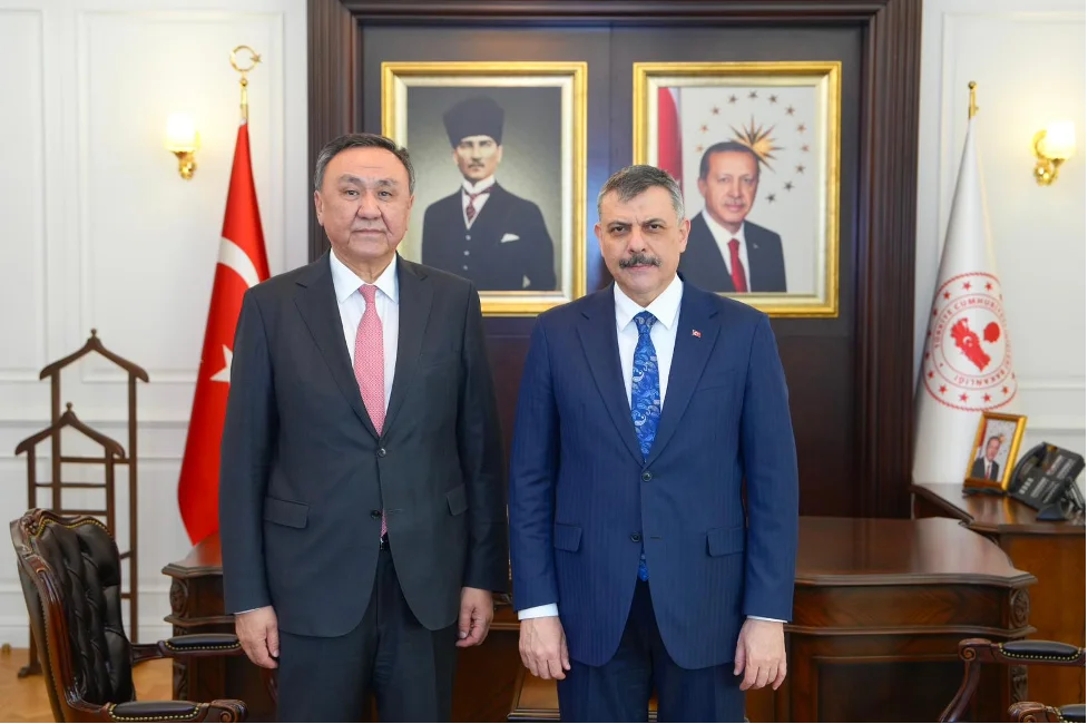 Без заголовка.png