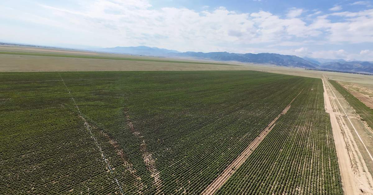 Organic farmland area in Kyrgyzstan exceeds 101,000 hectares