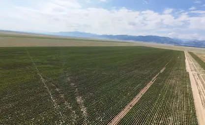 Organic farmland area in Kyrgyzstan exceeds 101,000 hectares